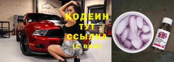 шишки Белоозёрский
