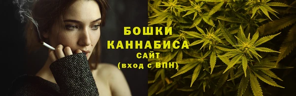 шишки Белоозёрский