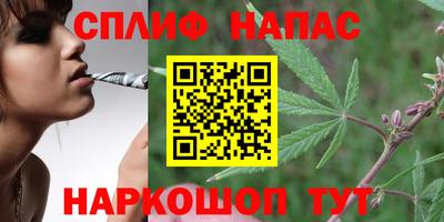 jwh Ростов Великий