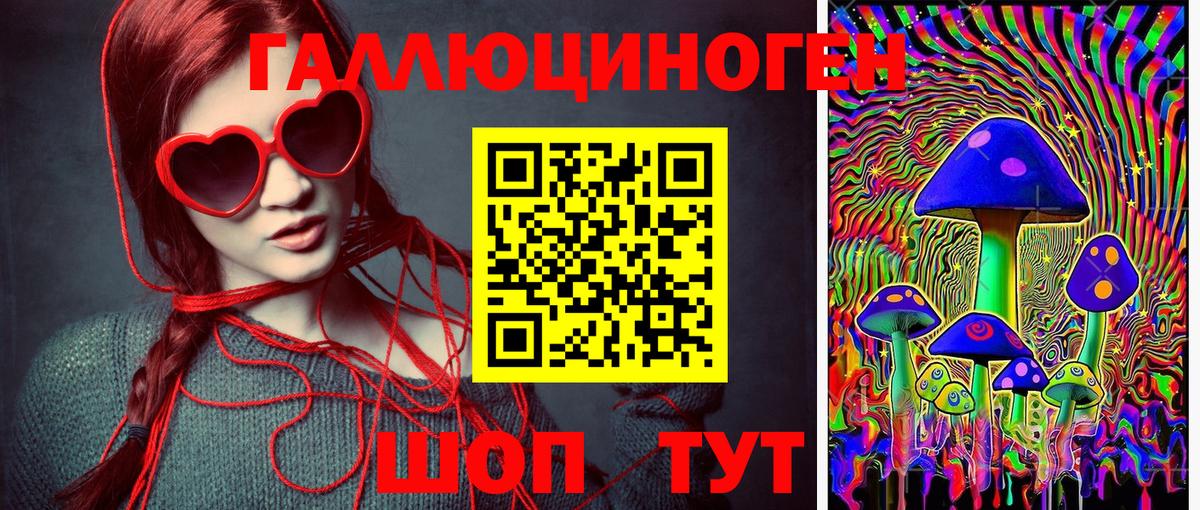 Псилоцибиновые грибы Psilocybe  Вход с VPN  Галлюциногенные грибы мухоморы  Кунгур 