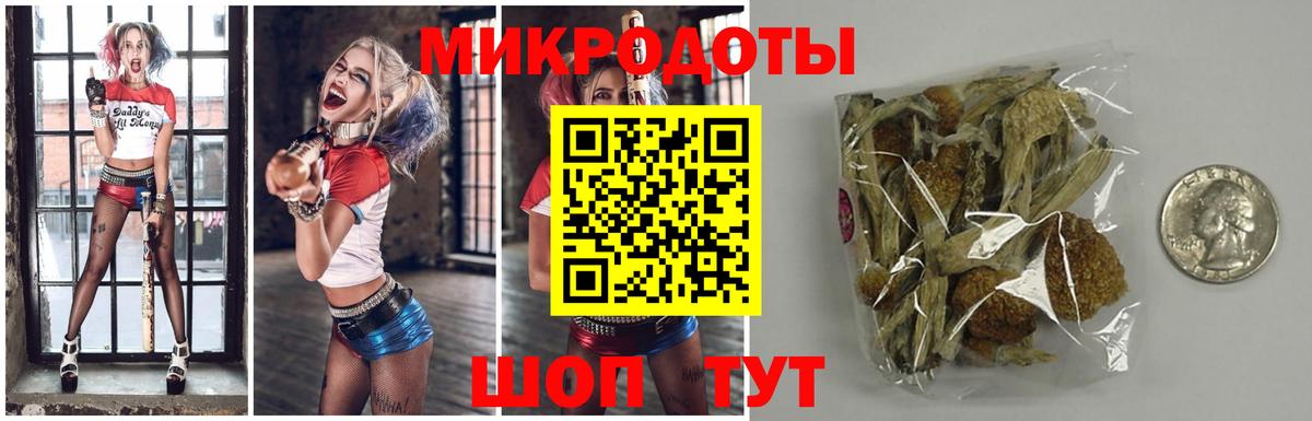 Псилоцибиновые грибы MAGIC MUSHROOMS Кунгур